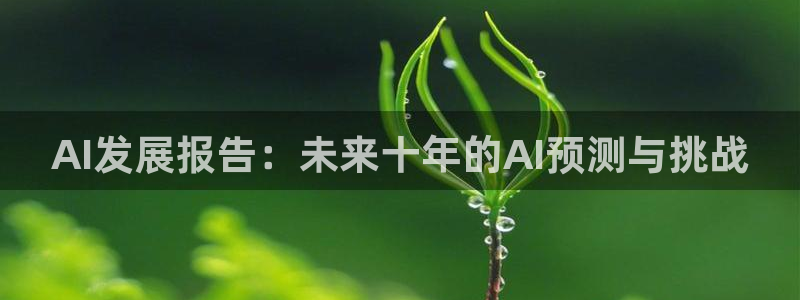 AI发展报告：未来十年的AI预测与挑战