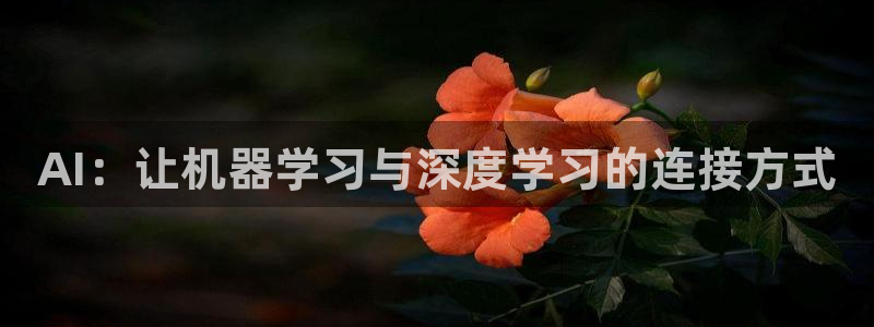 AI：让机器学习与深度学习的连接方式