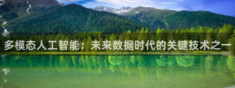 多模态人工智能：未来数据时代的关键技术之一