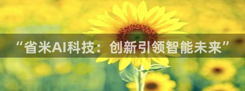 “省米AI科技：创新引领智能未来”