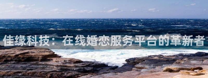 佳缘科技：在线婚恋服务平台的革新者