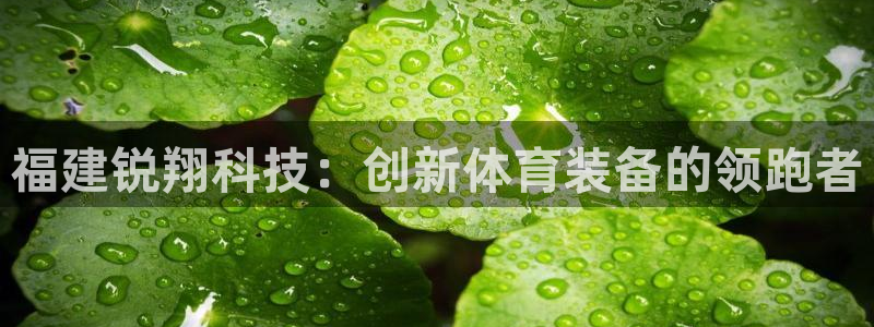福建锐翔科技：创新体育装备的领跑者