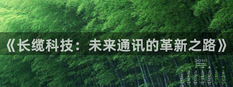《长缆科技：未来通讯的革新之路》
