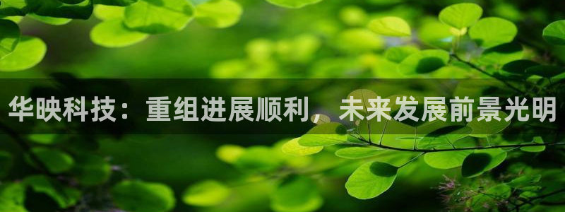 华映科技：重组进展顺利，未来发展前景光明
