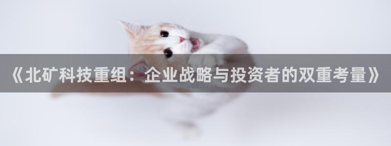 《北矿科技重组：企业战略与投资者的双重考量》