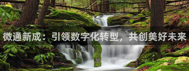 微通新成：引领数字化转型，共创美好未来
