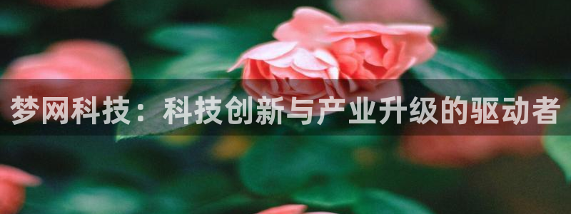 梦网科技：科技创新与产业升级的驱动者