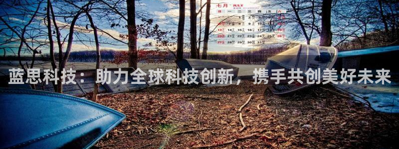 蓝思科技：助力全球科技创新，携手共创美好未来