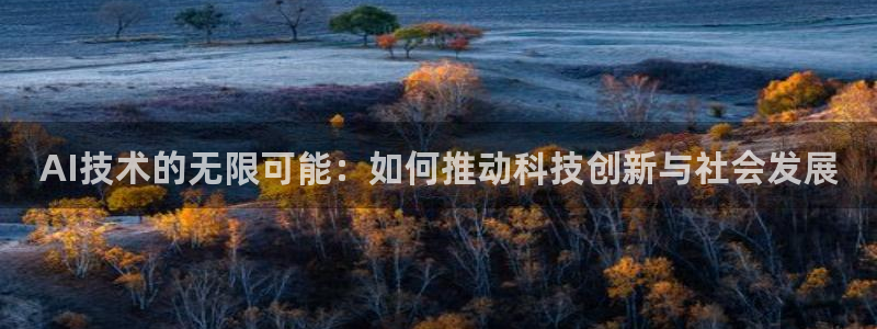 AI技术的无限可能：如何推动科技创新与社会发展