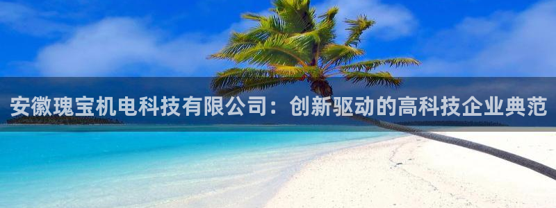 安徽瑰宝机电科技有限公司：创新驱动的高科技企业典范