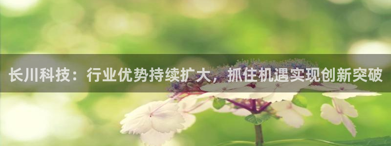 长川科技：行业优势持续扩大，抓住机遇实现创新突破