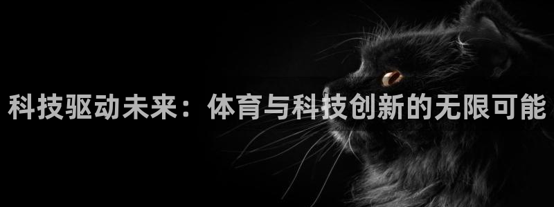 科技驱动未来：体育与科技创新的无限可能