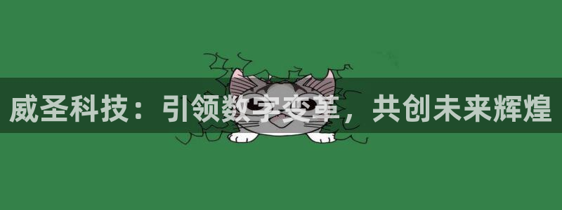 威圣科技：引领数字变革，共创未来辉煌