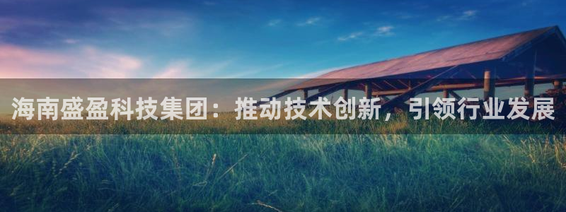 海南盛盈科技集团：推动技术创新，引领行业发展