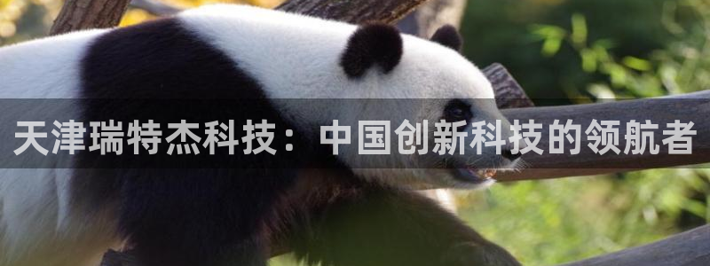 天津瑞特杰科技：中国创新科技的领航者