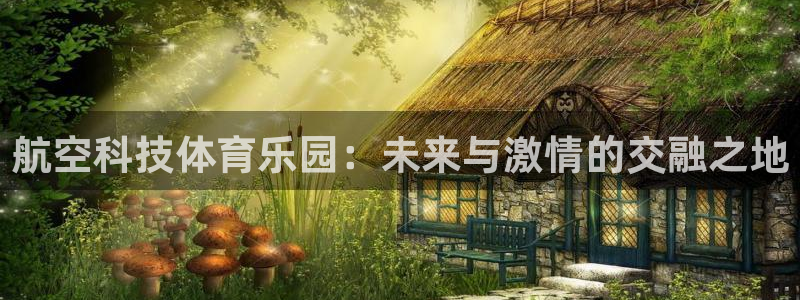 航空科技体育乐园：未来与激情的交融之地