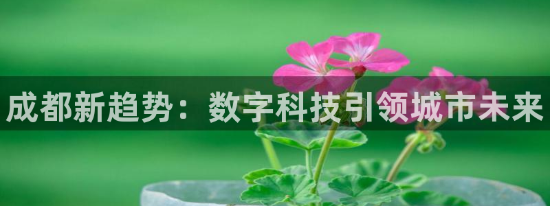 成都新趋势：数字科技引领城市未来