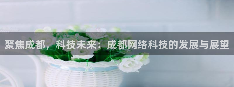 聚焦成都，科技未来：成都网络科技的发展与展望