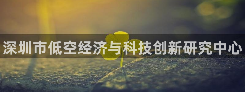 深圳市低空经济与科技创新研究中心