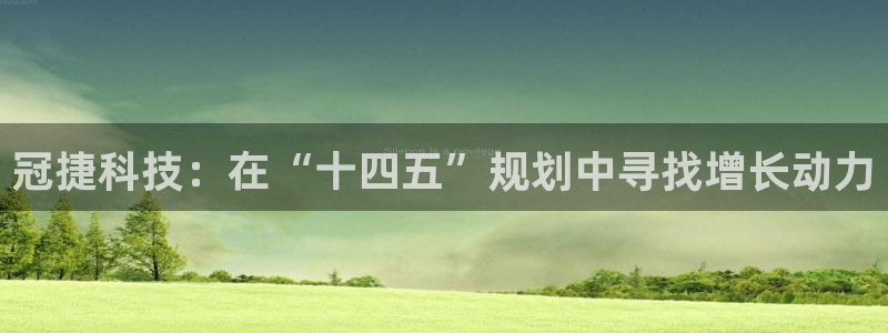 冠捷科技：在“十四五”规划中寻找增长动力