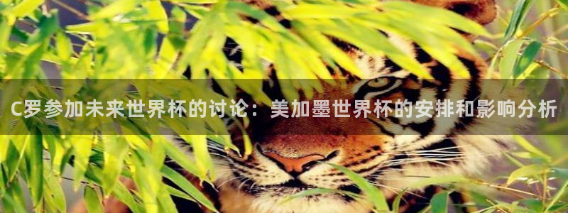 C罗参加未来世界杯的讨论：美加墨世界杯的安排和影响分析