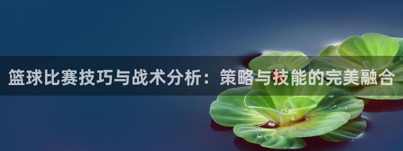 篮球比赛技巧与战术分析：策略与技能的完美融合