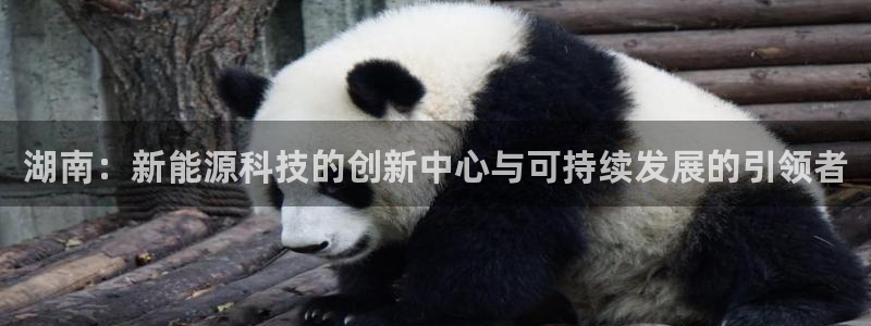 湖南：新能源科技的创新中心与可持续发展的引领者