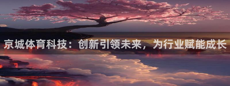 京城体育科技：创新引领未来，为行业赋能成长