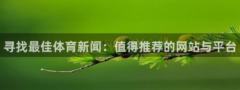 寻找最佳体育新闻：值得推荐的网站与平台