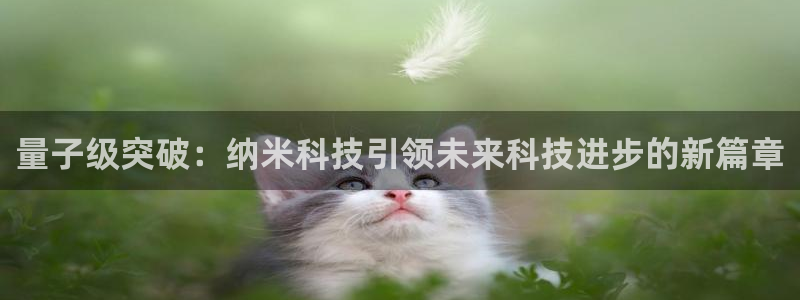 量子级突破：纳米科技引领未来科技进步的新篇章