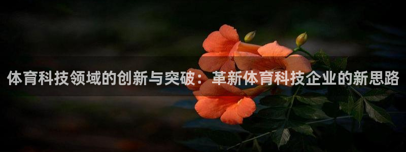 体育科技领域的创新与突破：革新体育科技企业的新思路