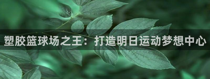 塑胶篮球场之王：打造明日运动梦想中心