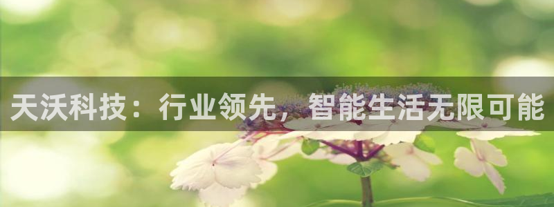 天沃科技：行业领先，智能生活无限可能