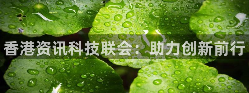 香港资讯科技联会：助力创新前行