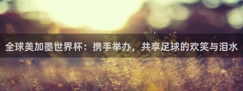 全球美加墨世界杯：携手举办，共享足球的欢笑与泪水