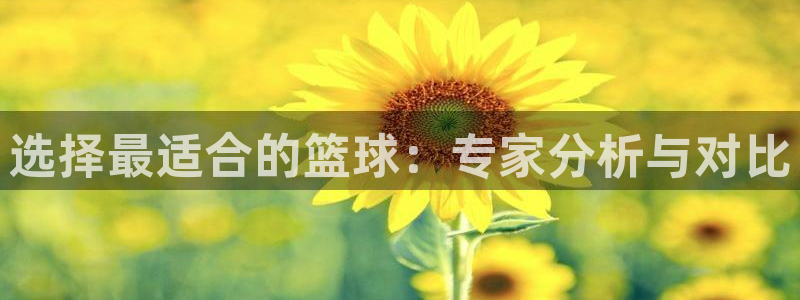 选择最适合的篮球：专家分析与对比