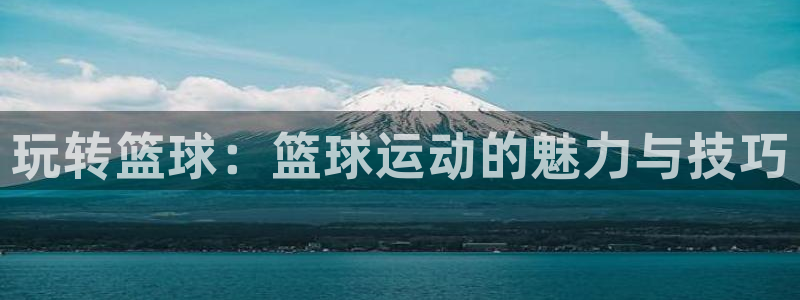 玩转篮球：篮球运动的魅力与技巧