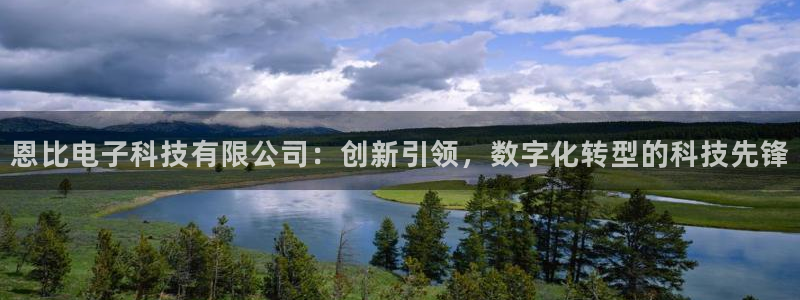 恩比电子科技有限公司：创新引领，数字化转型的科技先锋