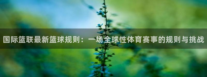 国际篮联最新篮球规则：一场全球性体育赛事的规则与挑战