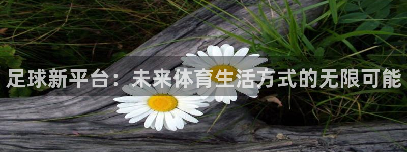 足球新平台：未来体育生活方式的无限可能
