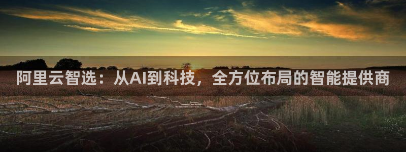 阿里云智选：从AI到科技，全方位布局的智能提供商
