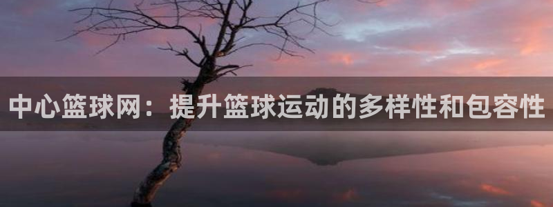 中心篮球网：提升篮球运动的多样性和包容性