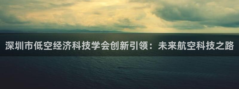深圳市低空经济科技学会创新引领：未来航空科技之路