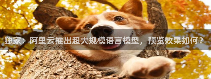 独家：阿里云推出超大规模语言模型，预览效果如何？