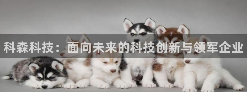 科森科技：面向未来的科技创新与领军企业