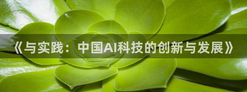 《与实践：中国AI科技的创新与发展》