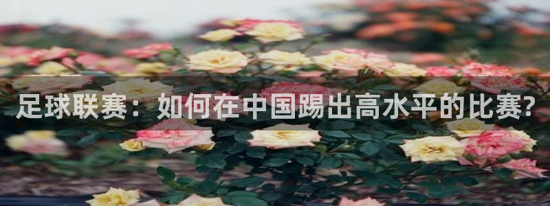 足球联赛：如何在中国踢出高水平的比赛?