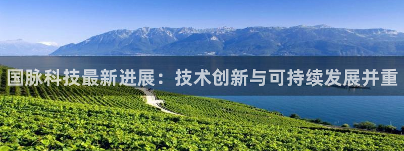 国脉科技最新进展：技术创新与可持续发展并重