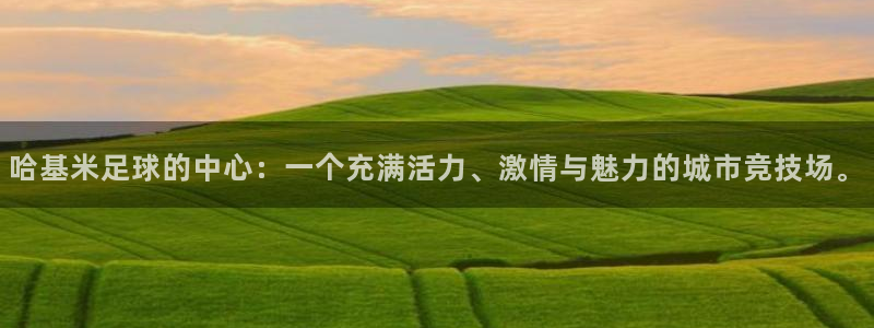 哈基米足球的中心：一个充满活力、激情与魅力的城市竞技场。