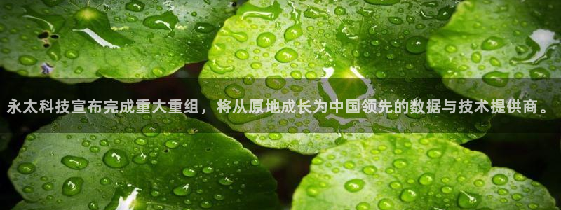 永太科技宣布完成重大重组，将从原地成长为中国领先的数据与技术提供商。
